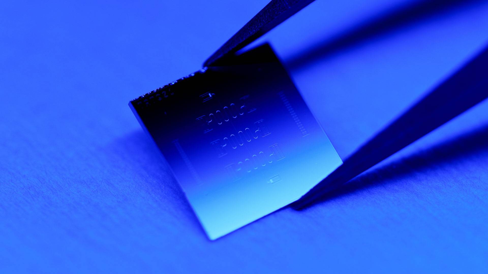 A chip built by Princeton’s Nathalie de Leon, Andrew Houck, Robert Cava and their research teams supports qubits with coherence times longer than 1 millisecond — three times longer than the best ever reported in a lab setting, and nearly 15 times longer than the industry standard. Image by Matthew Raspanti, Office of Communications, Princeton University.